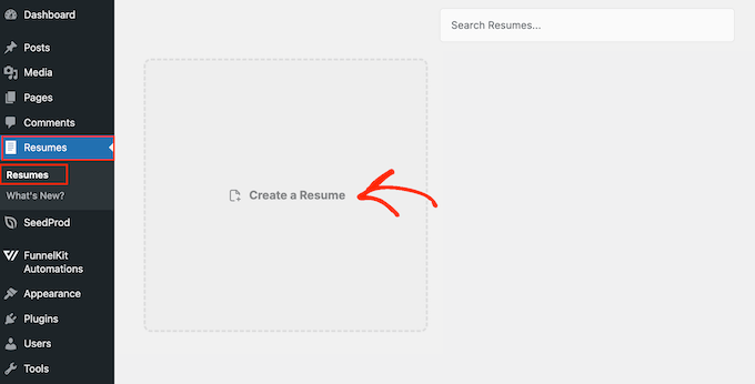 Erstellen eines Lebenslaufs im WordPress-Dashboard