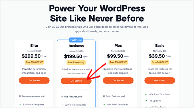 Formidable Forms Pricing