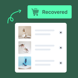 How to Setup WooCommerce Cart Recovery the RIGHT Way
