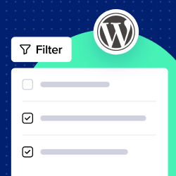 introducing-wpfilters