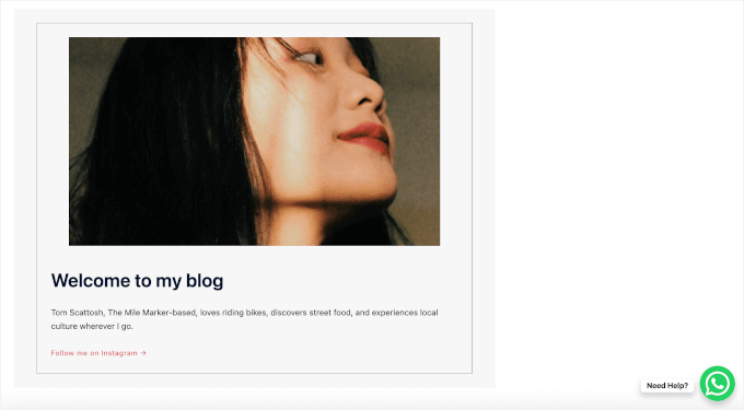 Enkel chattknapp på en live WordPress-webbplats