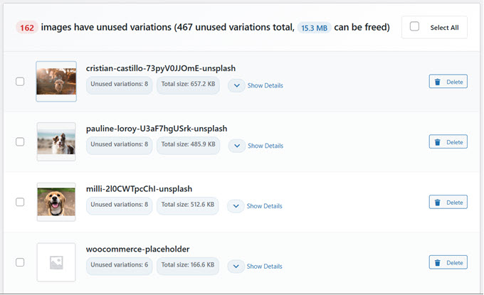 La scansione di WP Media Cleanup trova immagini e variazioni inutilizzate sul tuo sito web
