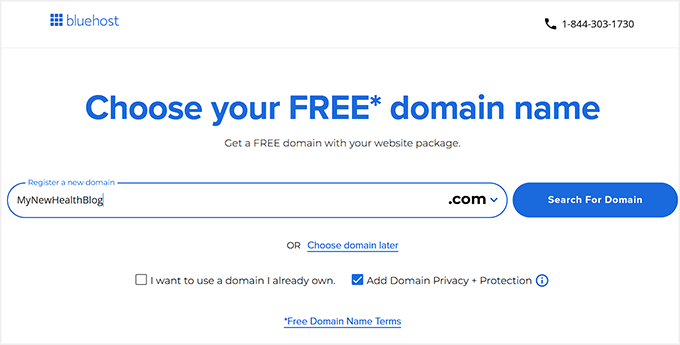 Choose a domain name for your health blog