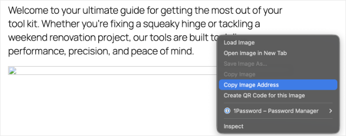 Copying the Address of a Broken Image Copying the Address of a Broken Image