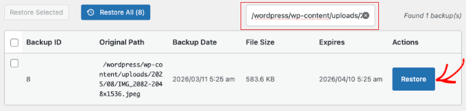 WP Media Cleanup Search and Restore WP Media Cleanup Search and Restore
