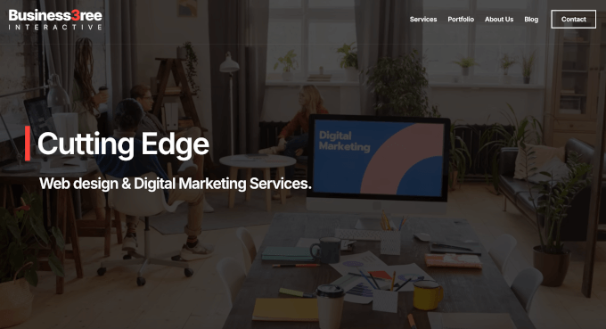 Business3ree's coaching/consulting starter site