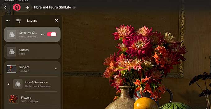 editor Pixelmator