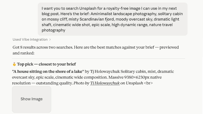 Searching for a free stock photography using WPVibe and Unsplash