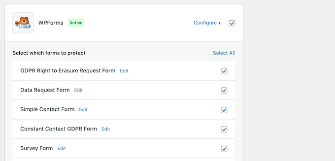 Protecting WPForms, Contact Form 7, and other popular form builders against spammers 