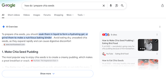 An example of an AI Overview in Google An example of an AI Overview in Google