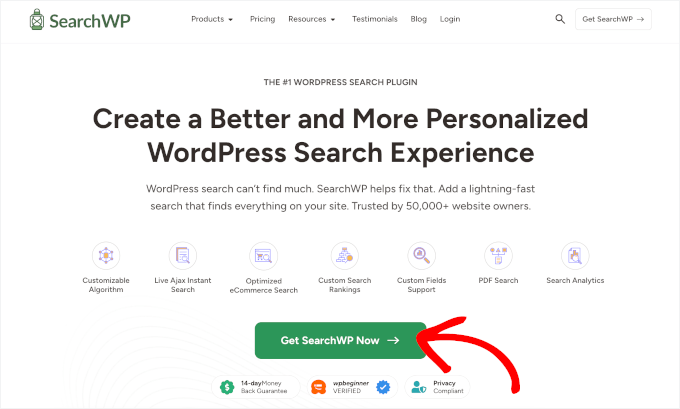 Get SearchWP Now Get SearchWP Now