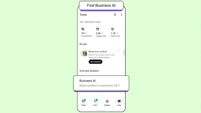 Setting Up the WhatsApp Business App