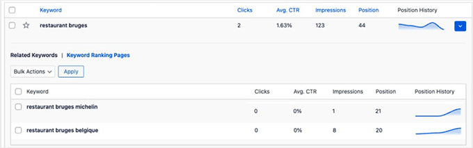 View related keywords that you can track in AIOSEO View related keywords that you can track in AIOSEO