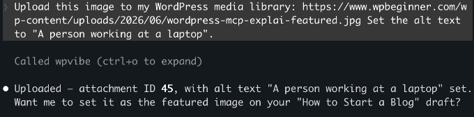 AI-prompt för att lägga till en offentlig bild i ditt WordPress-mediabibliotek AI-prompt för att lägga till en offentlig bild i ditt WordPress-mediabibliotek