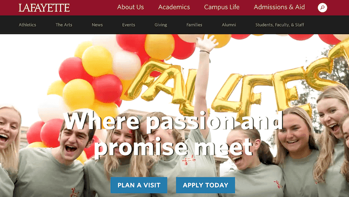 An example of a higher-education website