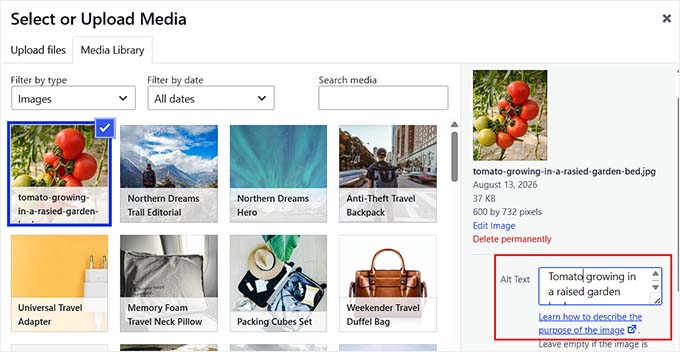 Add alt text to an image in WordPress