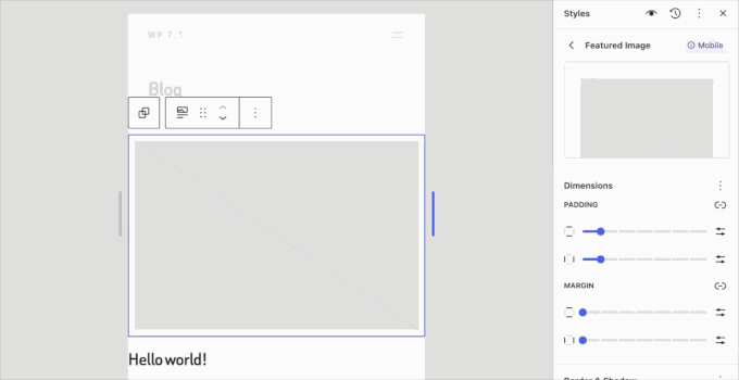 Adjust canvas to different screen sizes while working on your site Adjust canvas to different screen sizes while working on your site