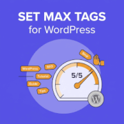 How to Set Maximum Number of Tags for WordPress Posts