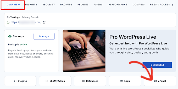 Launch cPanel in your WordPress hosting account