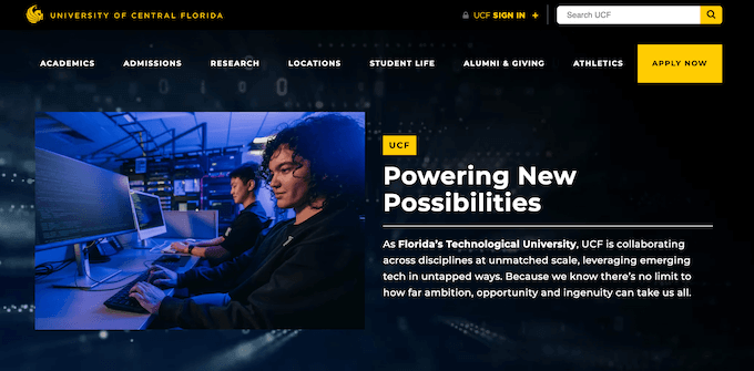 An example of a website, created using WordPress
