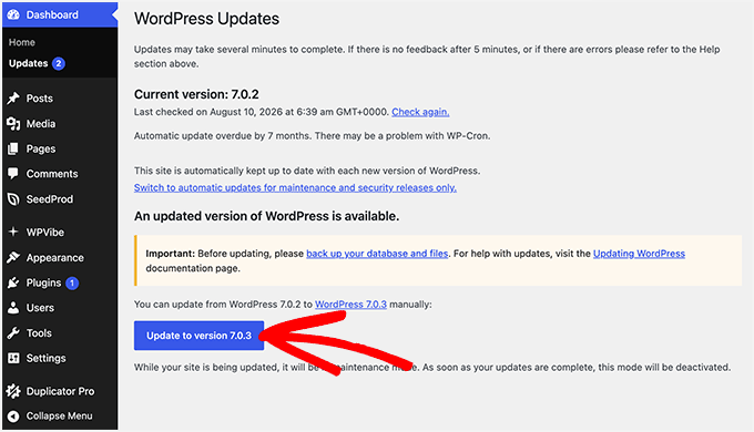 Ecranul de actualizări al tabloului de bord WordPress