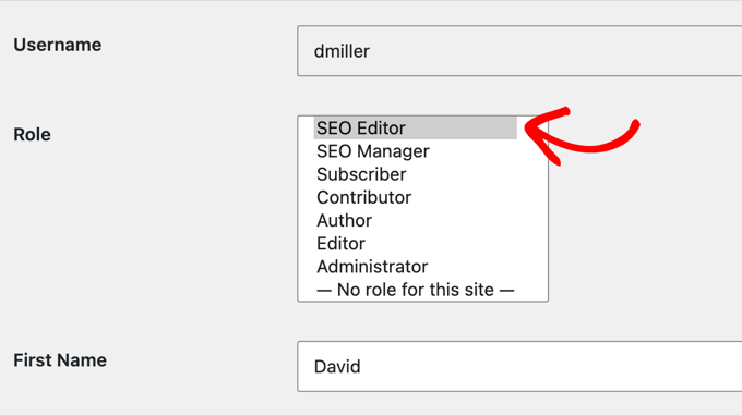 Selectați rolul Editor SEO sau Manager SEO din meniul derulant Selectați rolul Editor SEO sau Manager SEO din meniul derulant