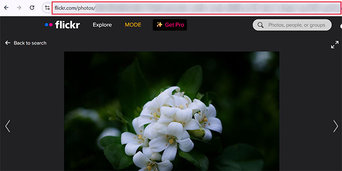 Copia l'URL dell'immagine Flickr dalla barra degli indirizzi