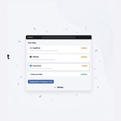 introducing wpvibe