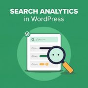 How to See Search Analytics in WordPress
