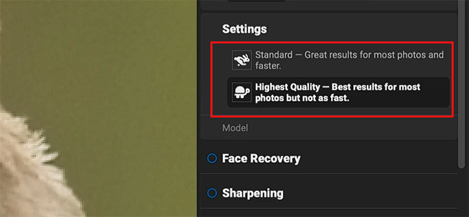 Selectați modelul AI pentru redimensionarea imaginilor în ON1 resize AI