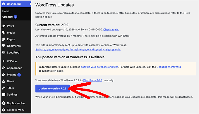 WordPress admin dashboard updates screen WordPress admin dashboard updates screen